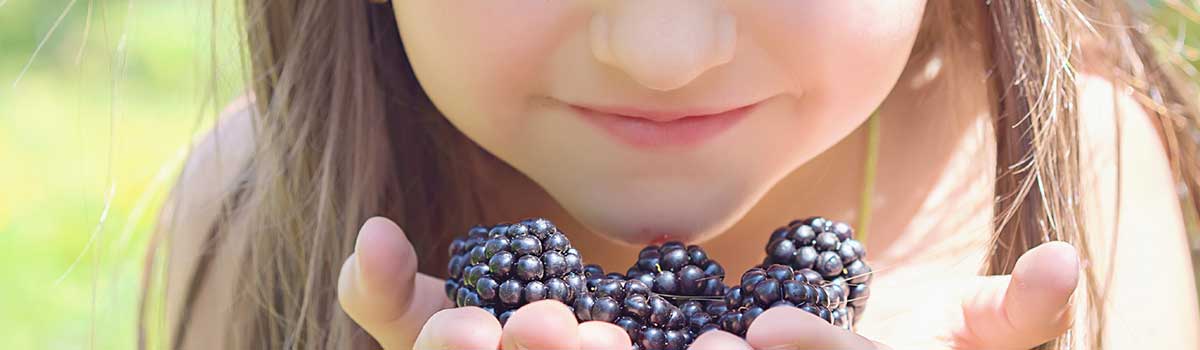 slide-blackberries